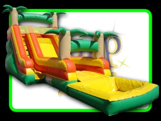 Picture Of Fifteen Foot Tropical Blast Water Slide