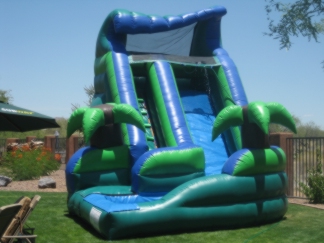 Picture of Picture of SIxteen foot wet slide