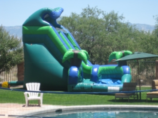Picture of Picture of Sixteen foot wet slide