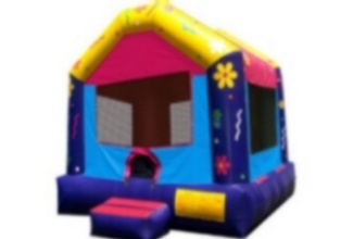 Picture of Dollhouse Standard Jumping Castle Jumpmaxx