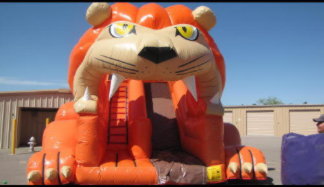 Picture of Twenty Two foot dry slide